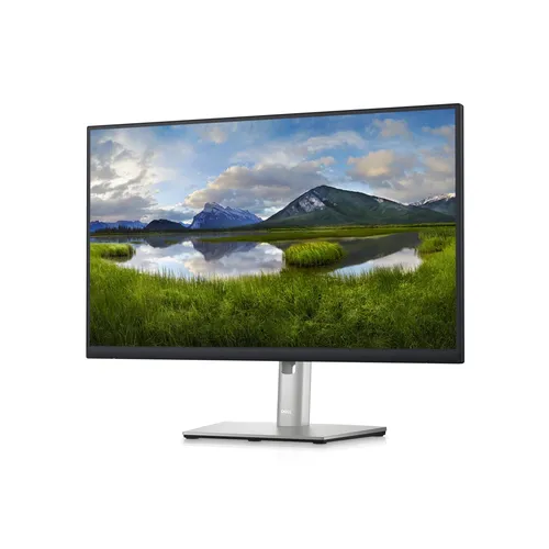 MON 24 DELL P2423D BLACK S, 
