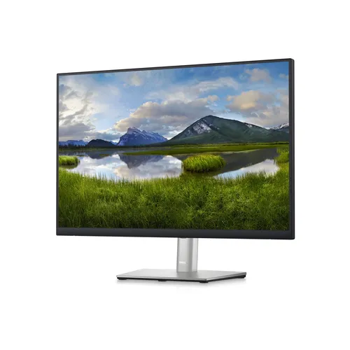 MON 24 DELL P2423 BLACK S 